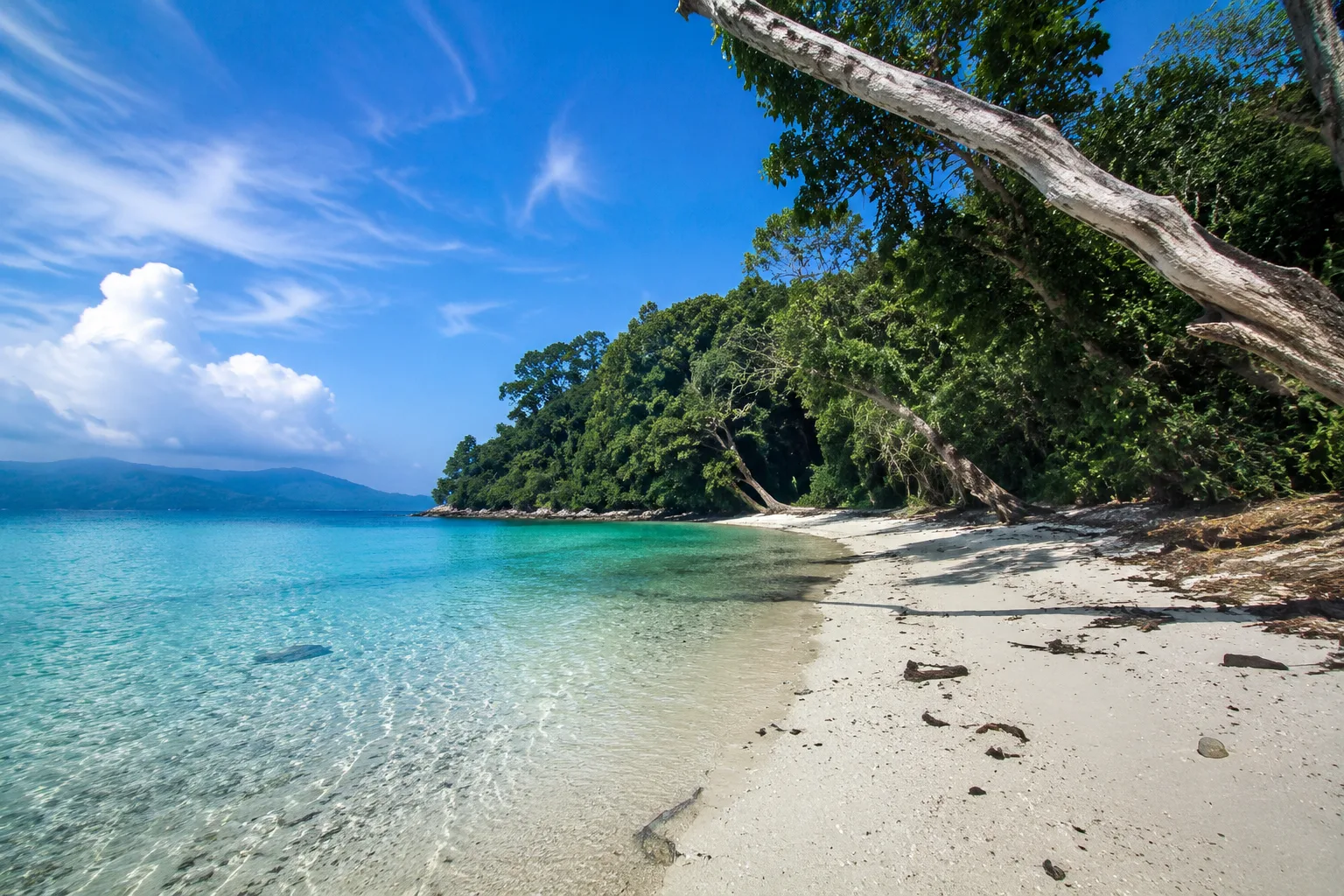 Andaman Beach, India