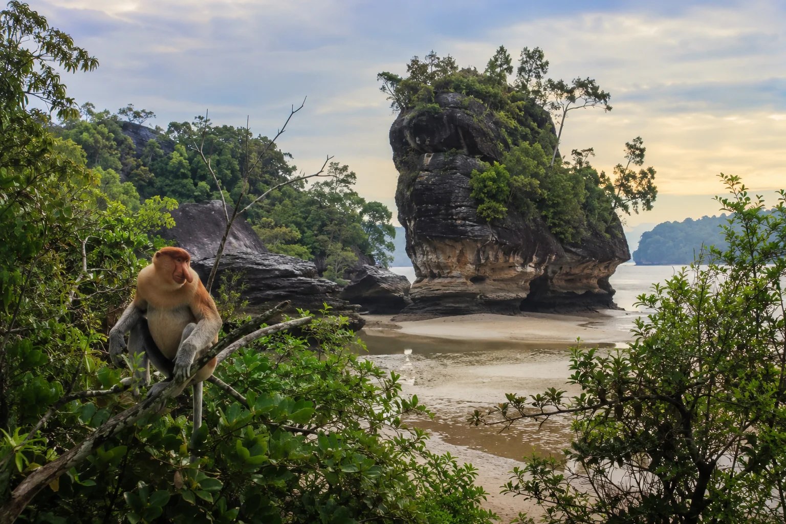 Bako National Park, Malaysia