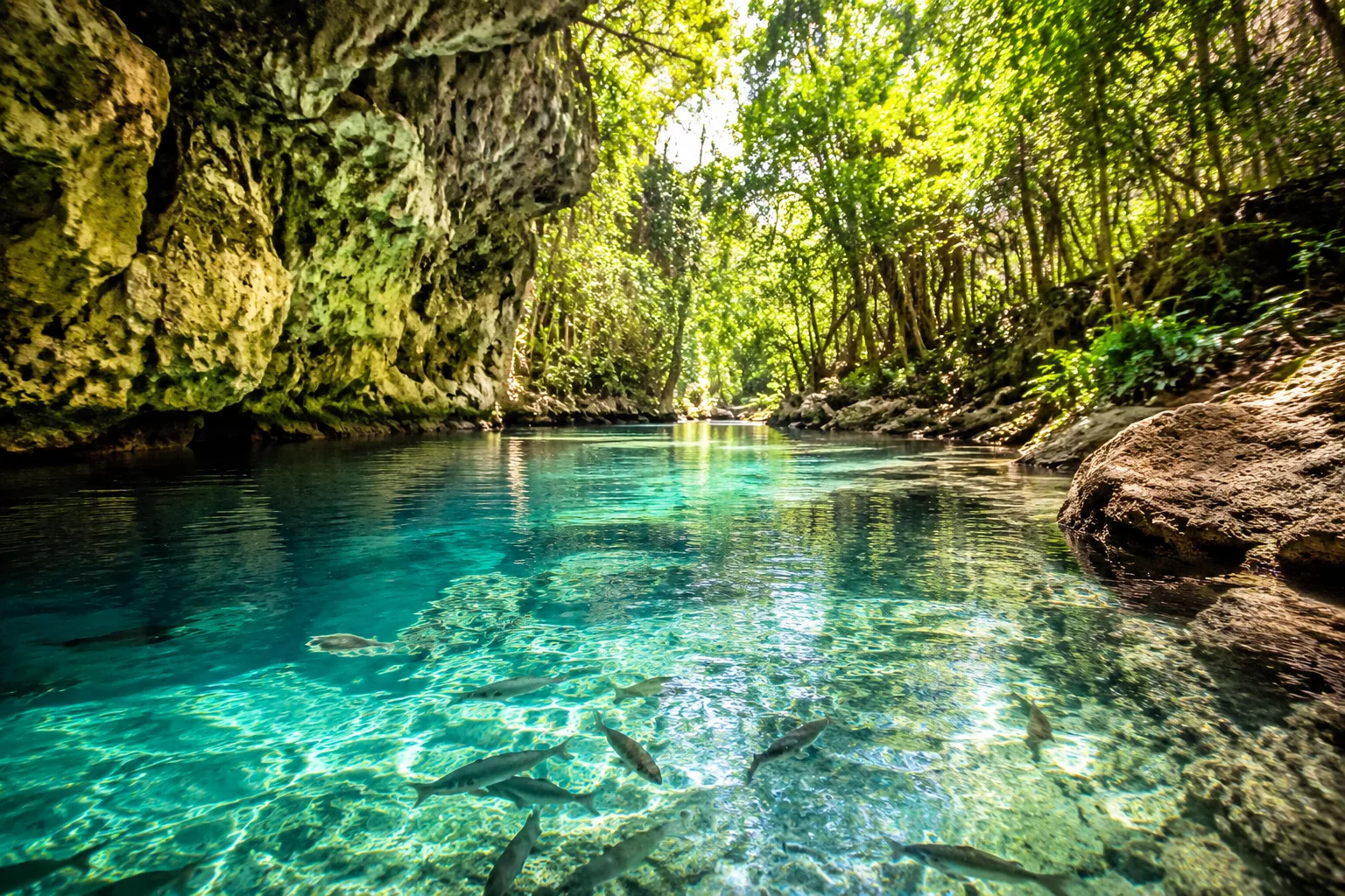 Bonito River, Brazil