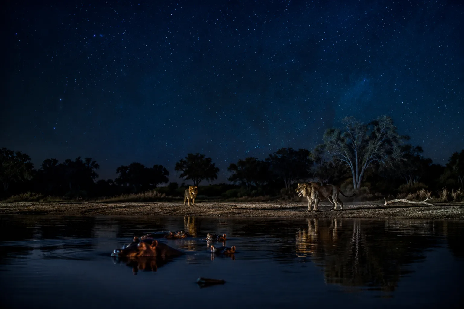 Botswana Delta Night, Botswana