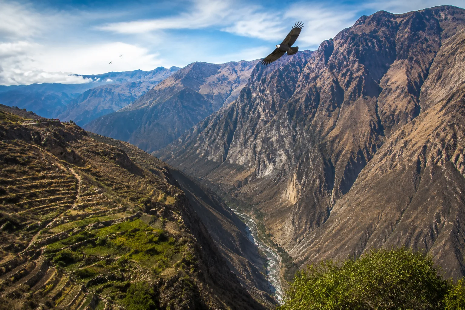 Colca Canyon, Peru