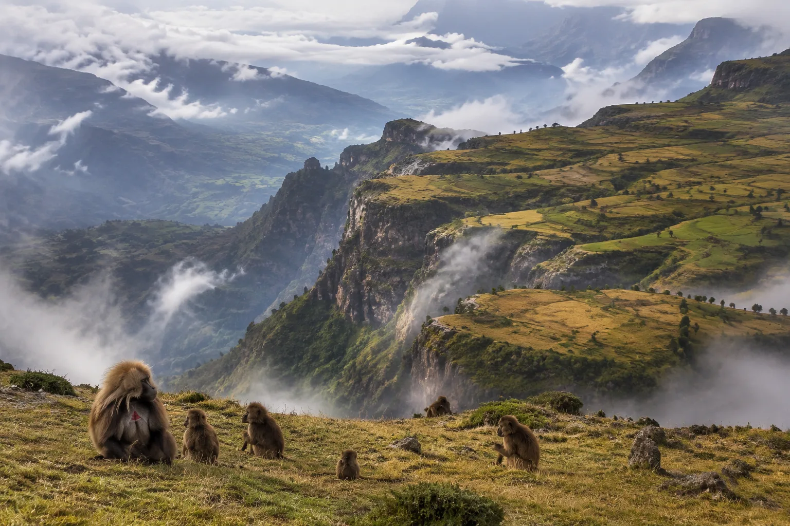 Ethiopian Highlands, Ethiopia