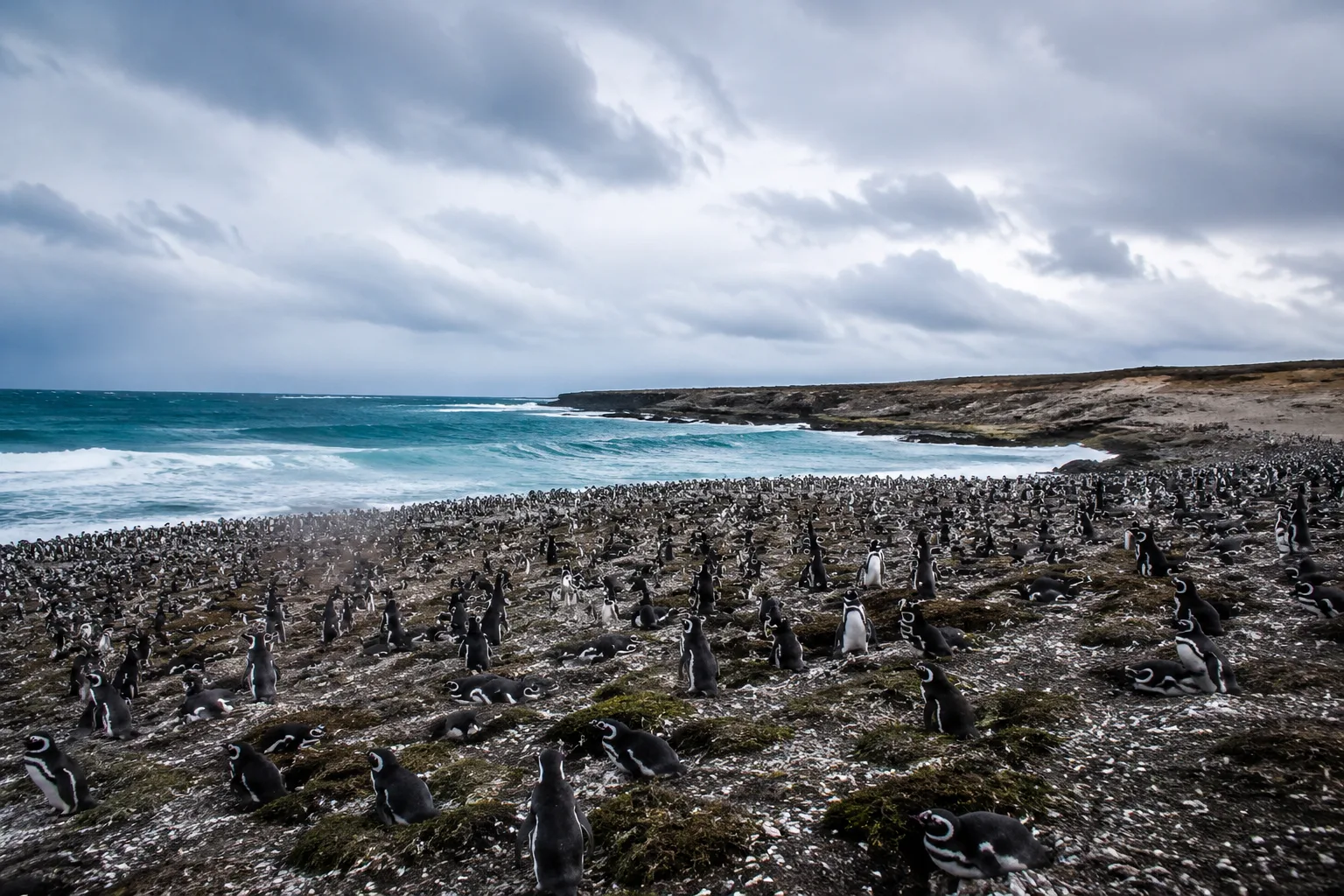 Falkland Islands, Falkland Islands