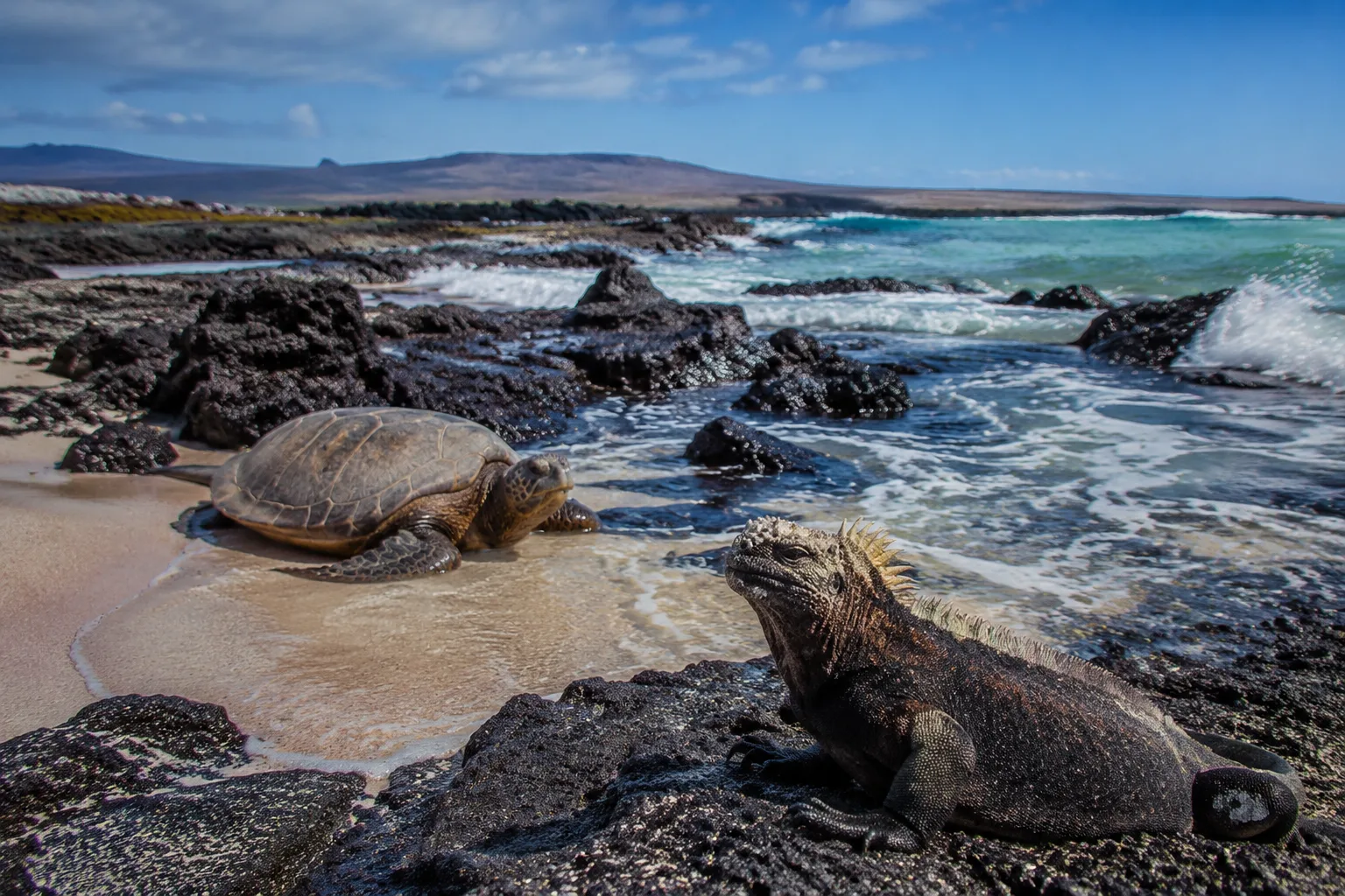 Galapagos Beach, Ecuador