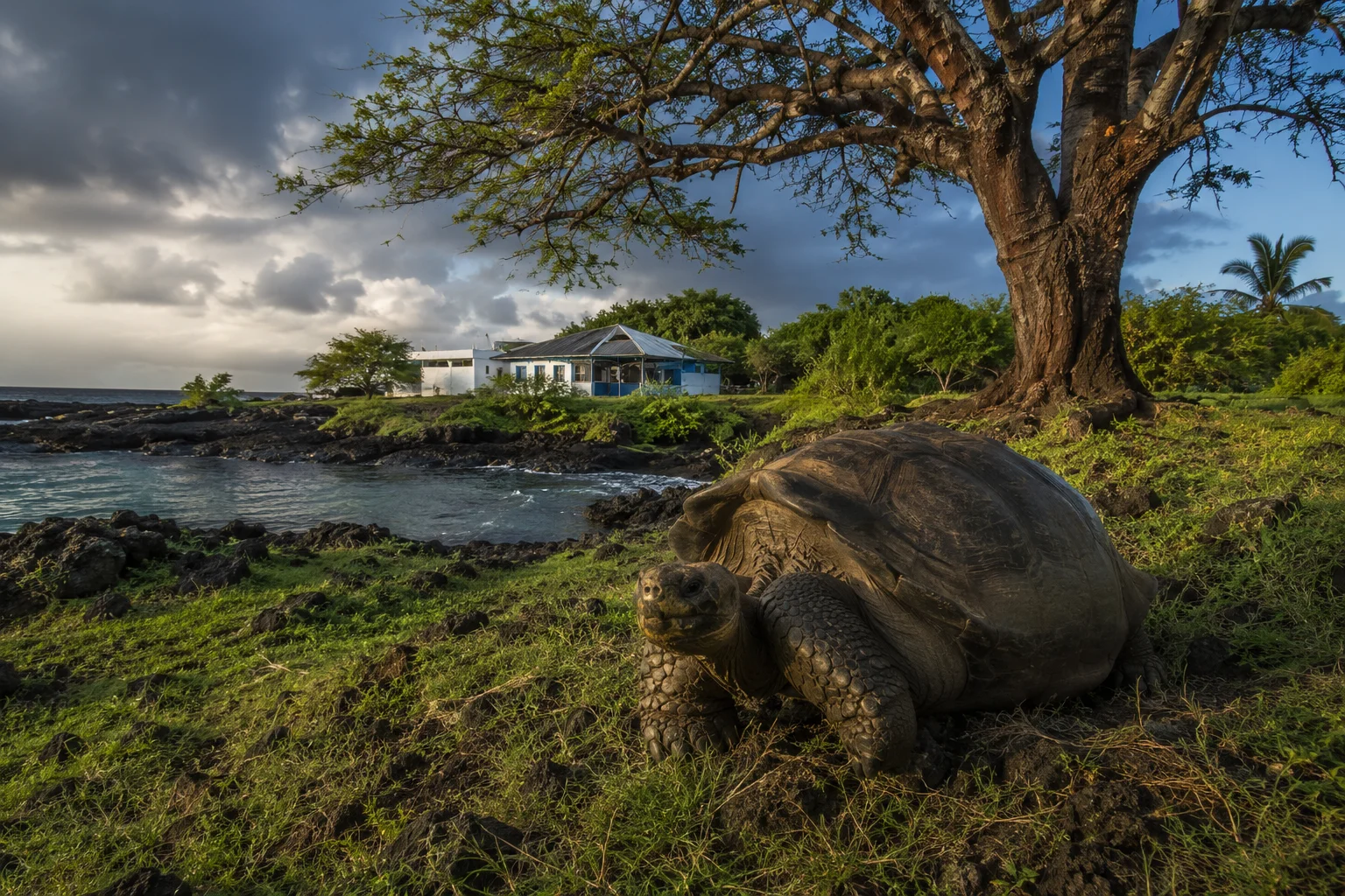 Galapagos Santa Cruz, Ecuador
