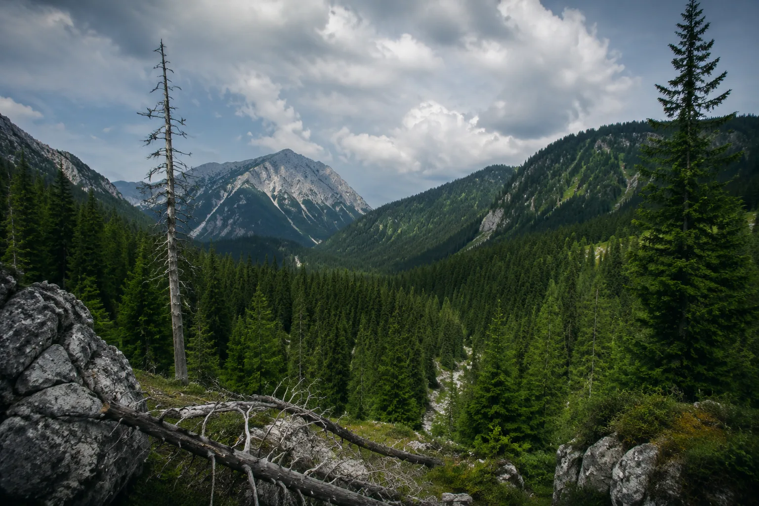 Kalkalpen National Park, Austria