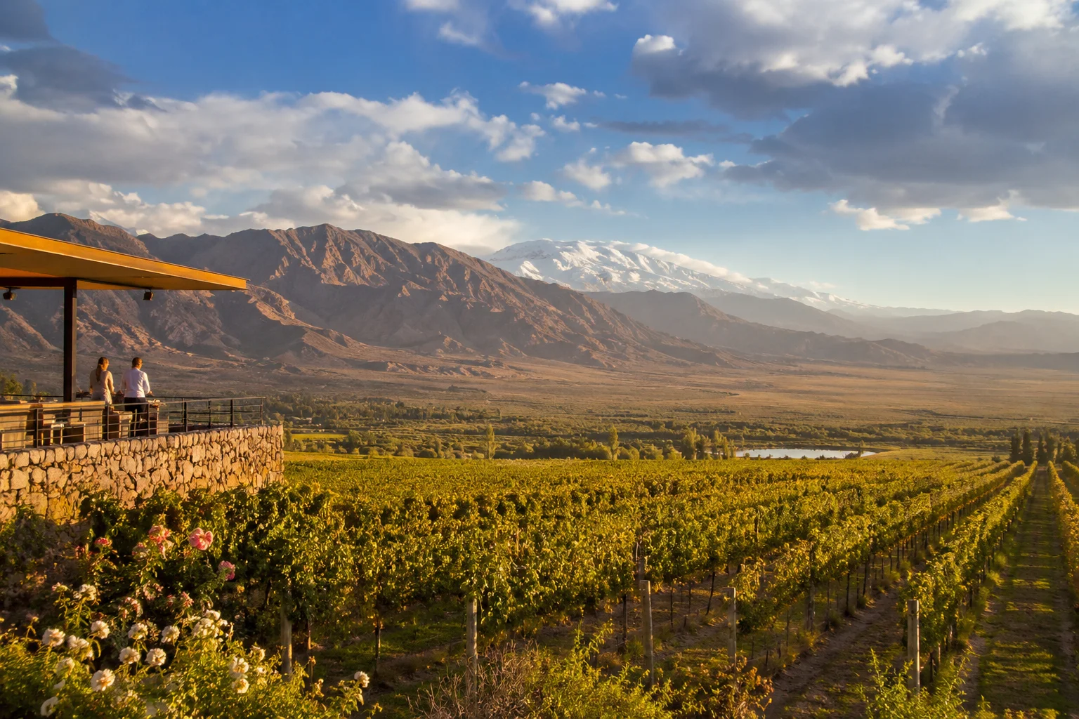 Mendoza Vineyards, Argentina