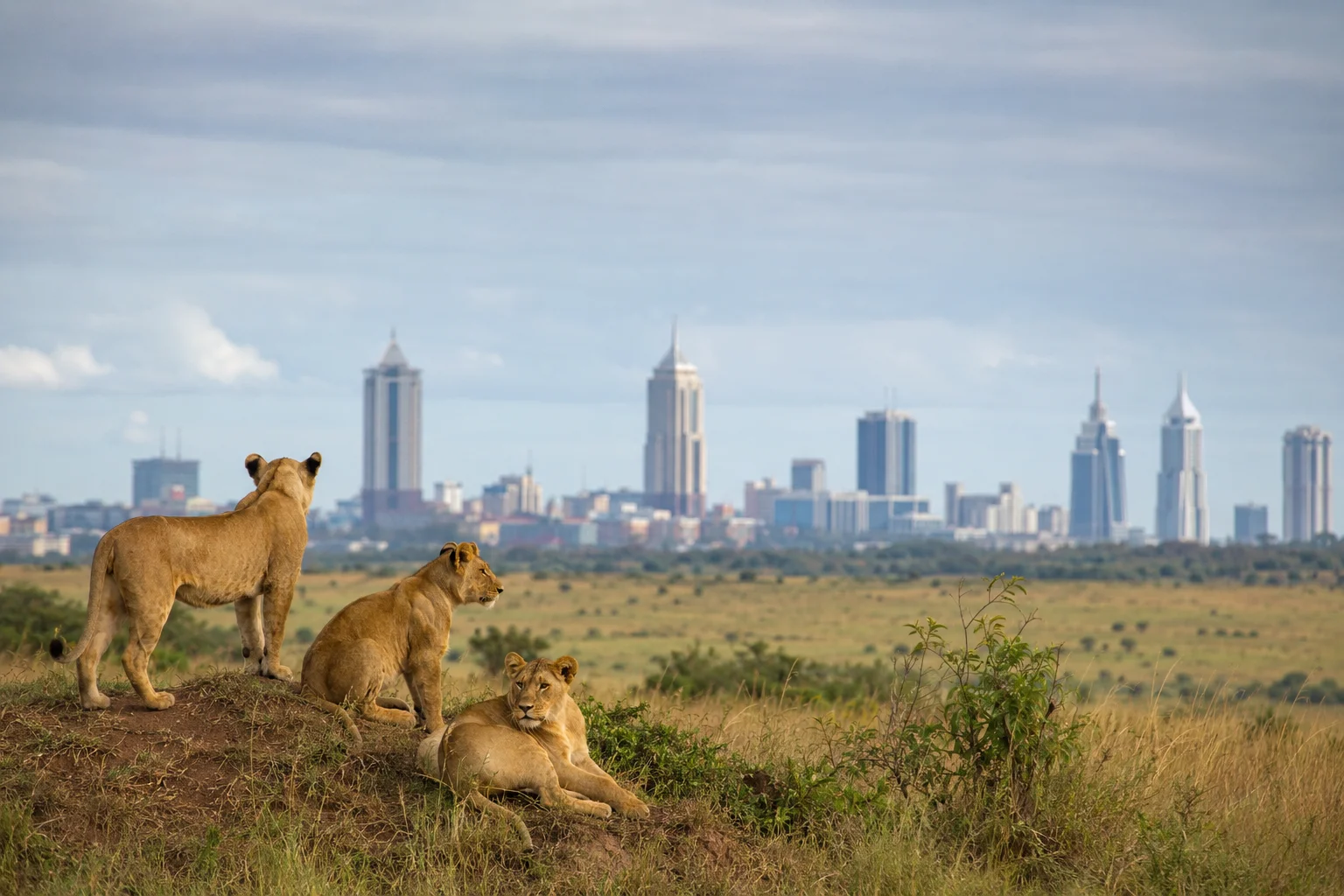 Nairobi National Park, Kenya