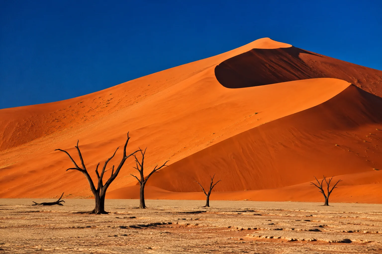 Namib Desert Dunes, Namibia