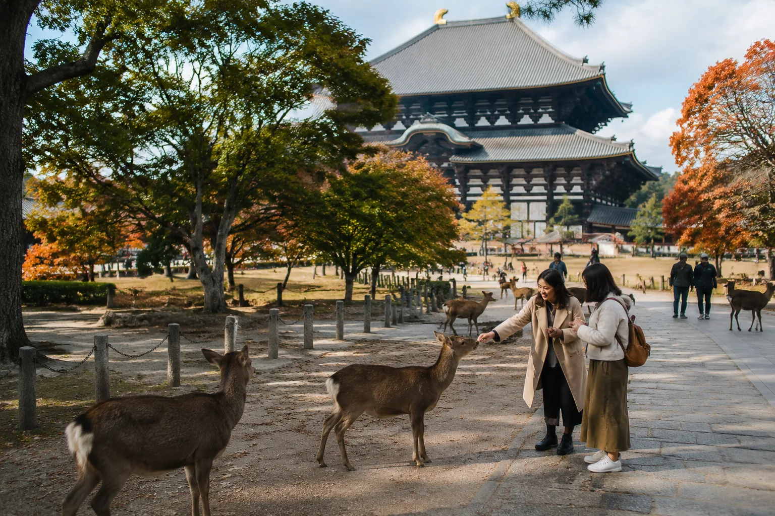 Nara Deer Park, Japan