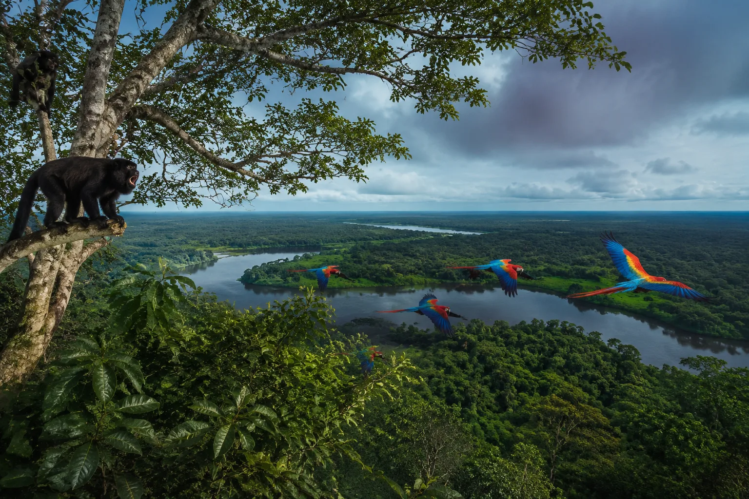 Peruvian Amazon, Peru