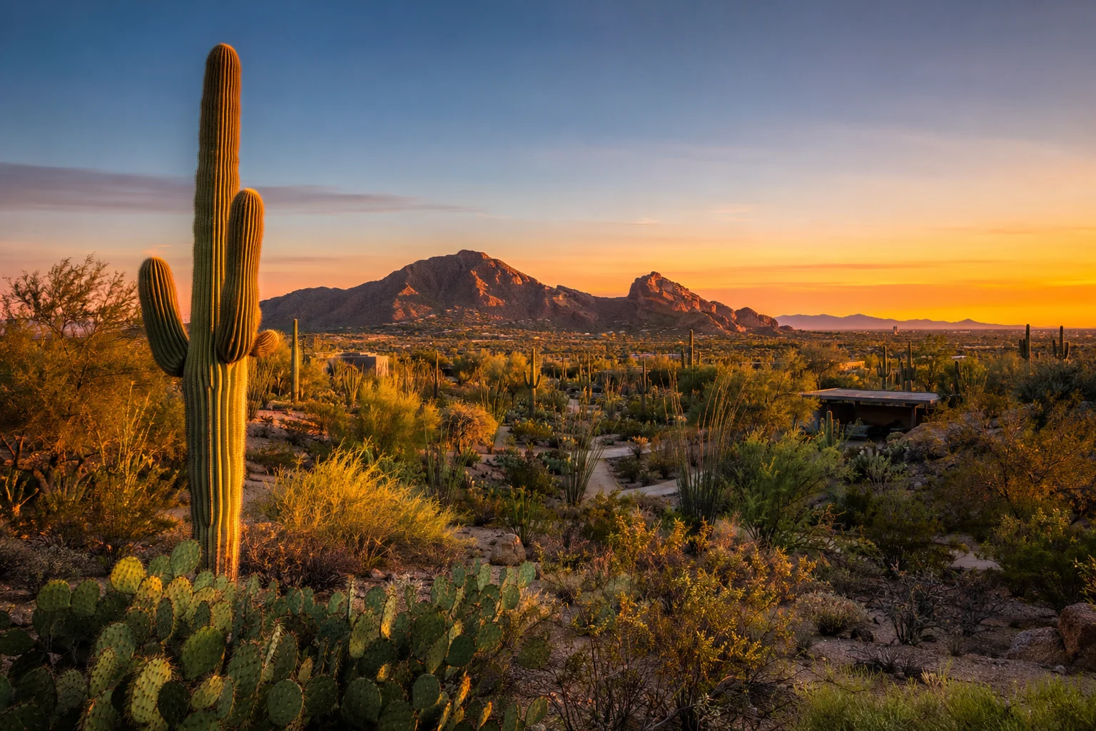Phoenix Desert Garden, United States