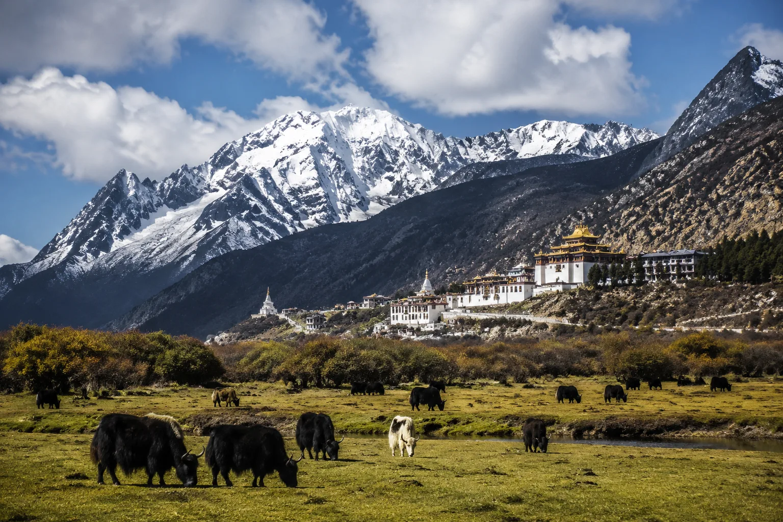 Shangri-La Meadow, China