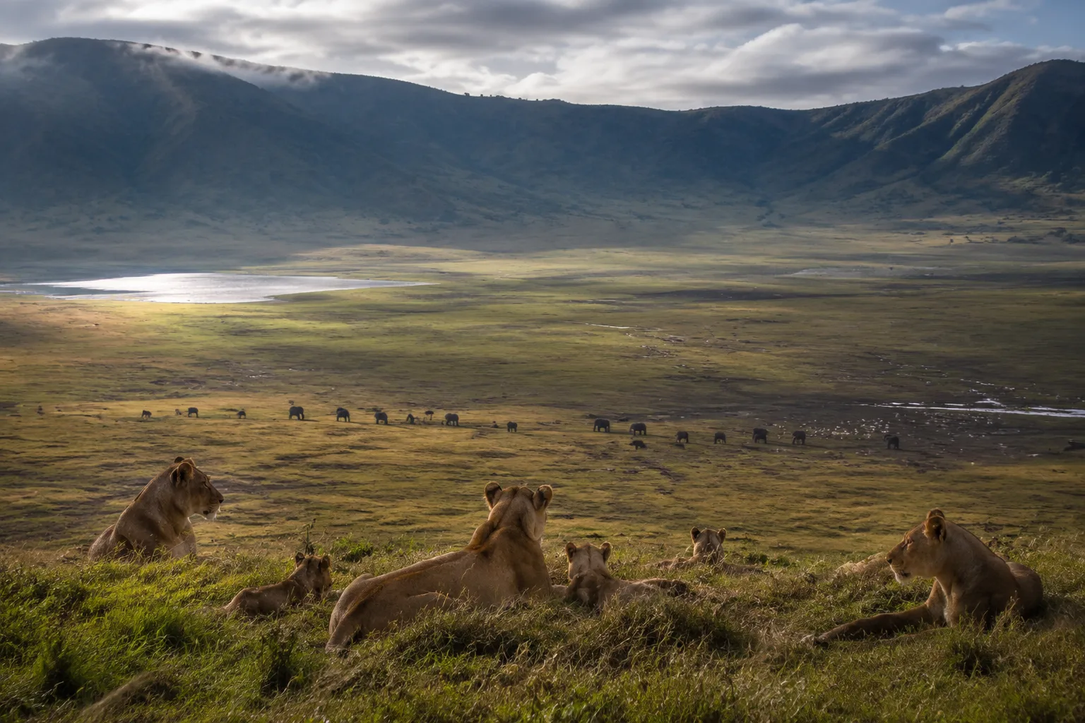 Ngorongoro Crater, Tanzania