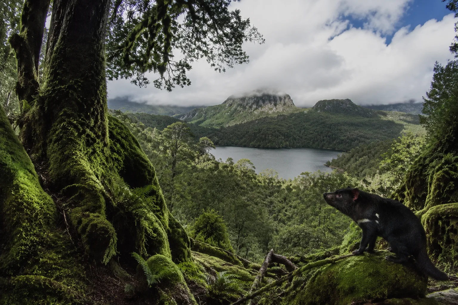 Tasmania Wilderness, Australia