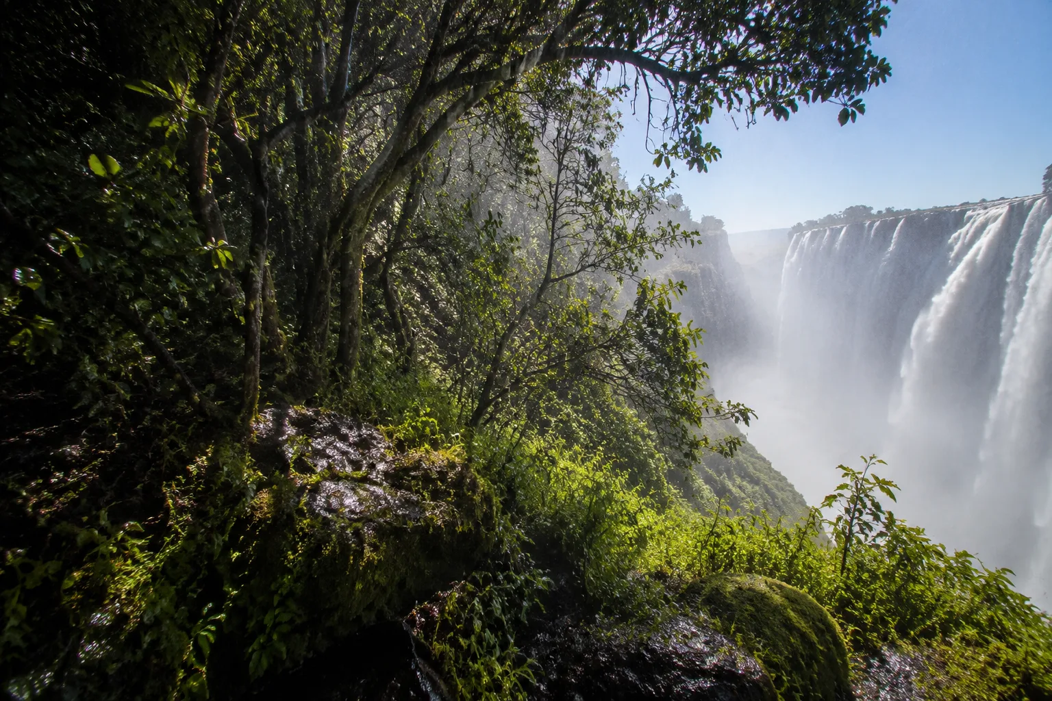 Falls Rainforest, Zambia